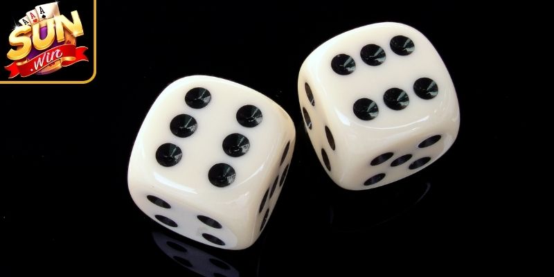 Khám phá diễn biến tổ chức